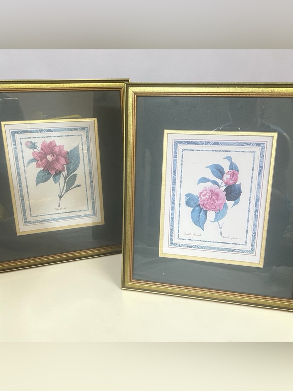 2 Vintage Framed Botanical Floral Prints Pierre Joseph Redouté Camellia Dahli